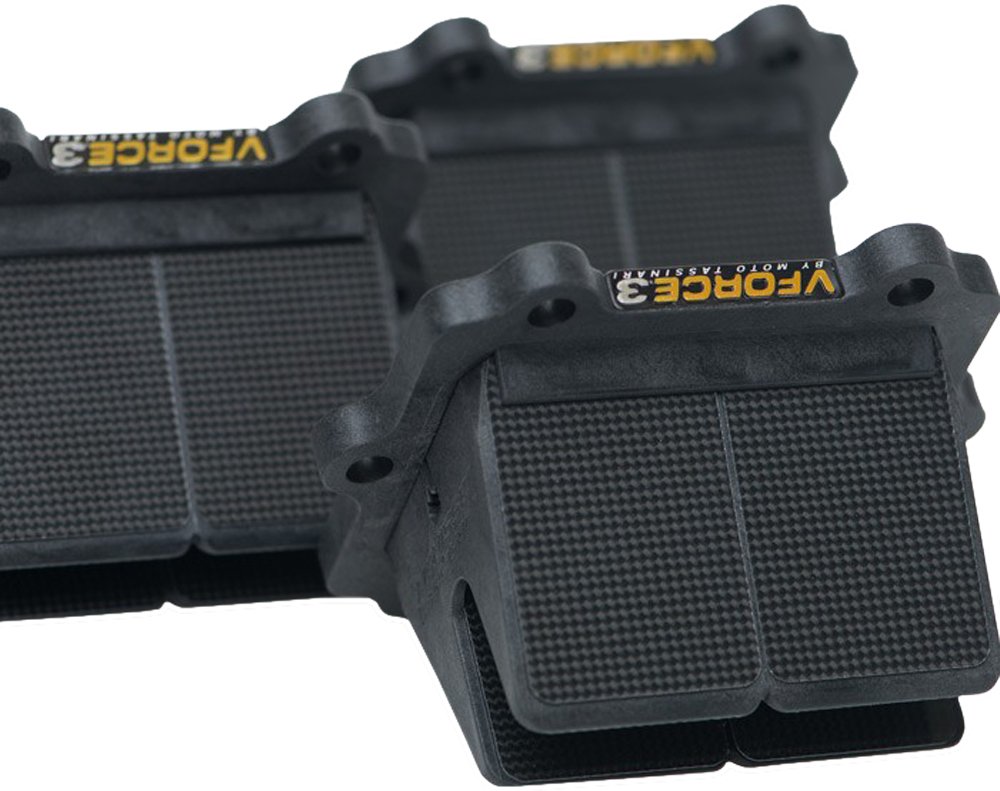 Amazon.com: MOTO-MASTER REEDS VFORCE3 AC TRIPLE - V3110-682A-3